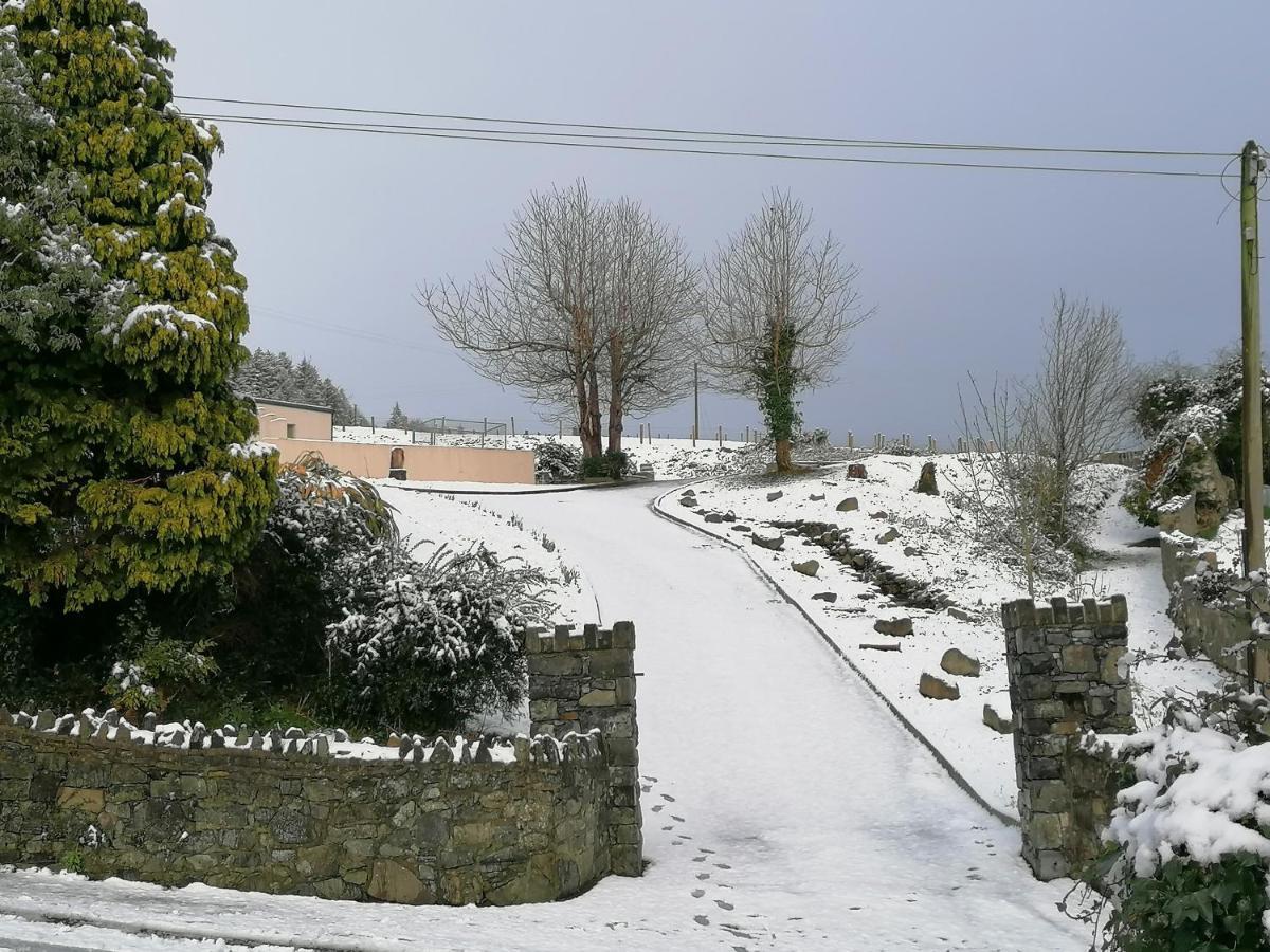 Carlingford Mountain And Sea Views Διαμέρισμα Εξωτερικό φωτογραφία