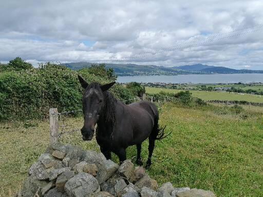 Carlingford Mountain And Sea Views Διαμέρισμα Εξωτερικό φωτογραφία